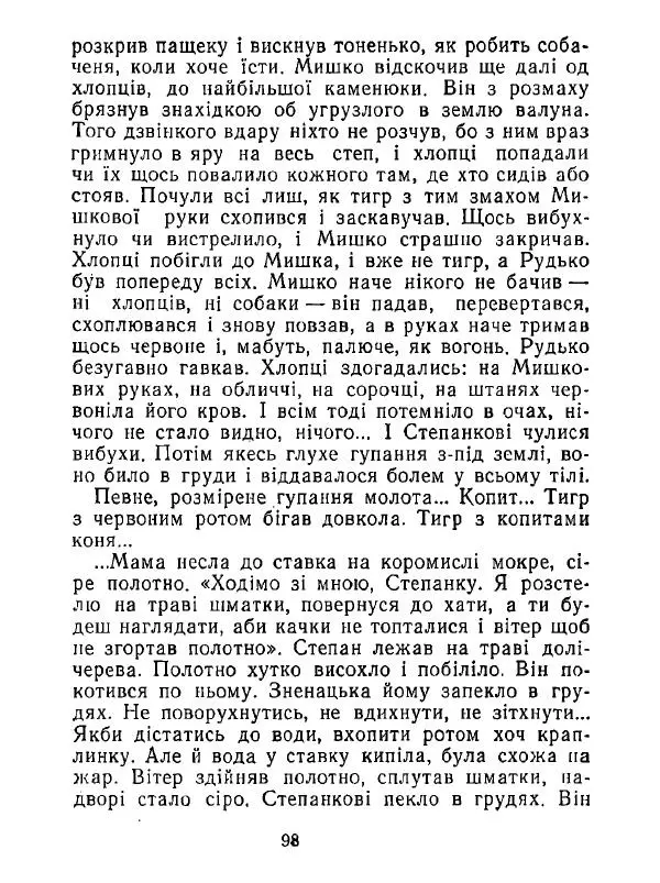 Анатолий Хорунжий - Білі хати по долині - Страница № 98