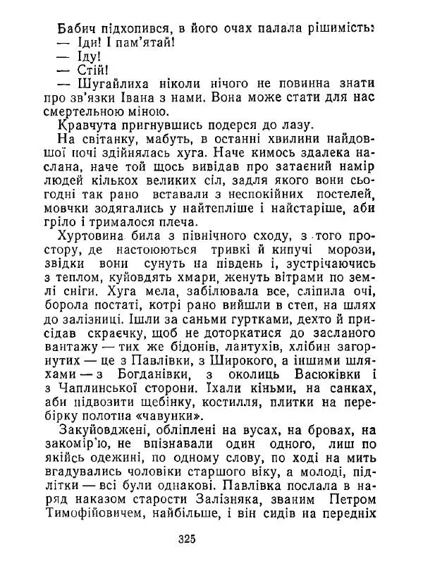 Анатолий Хорунжий - Білі хати по долині - Страница № 325