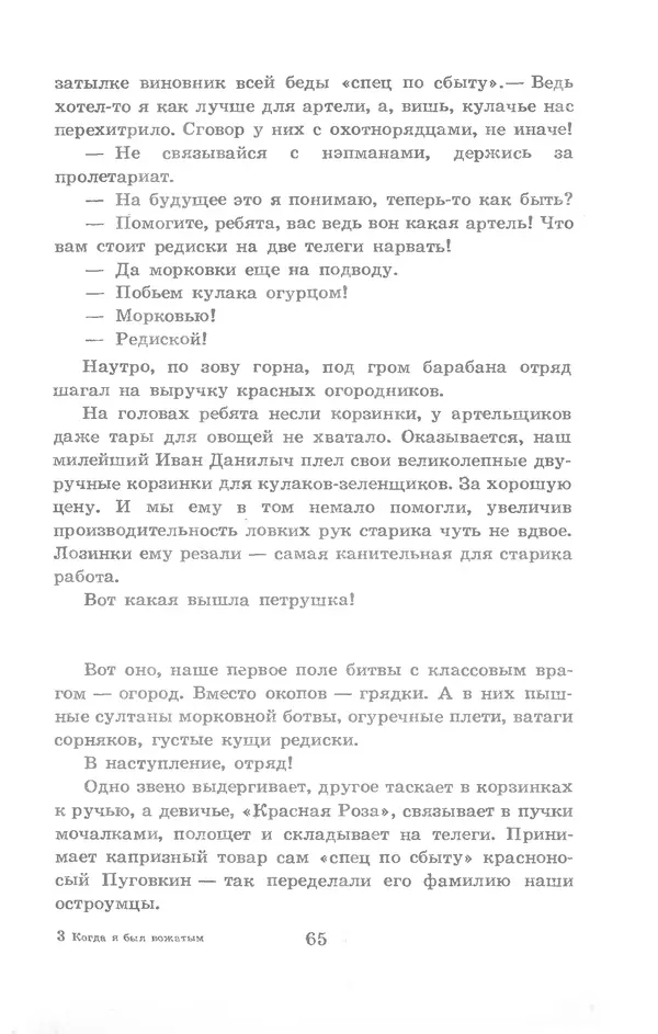 Николай Богданов - Когда я был вожатым - Страница № 66
