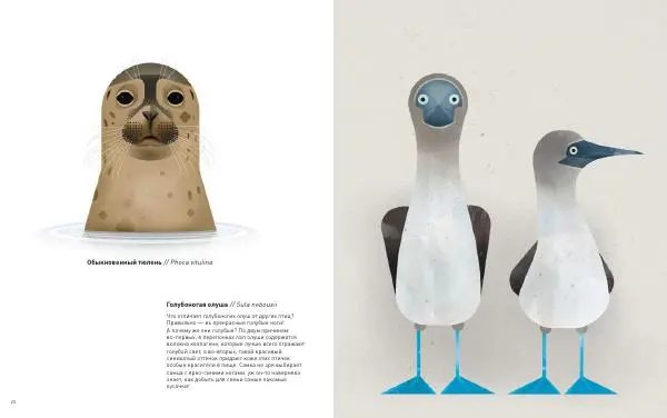 Дитер Браун - Животные Севера - Страница № 11