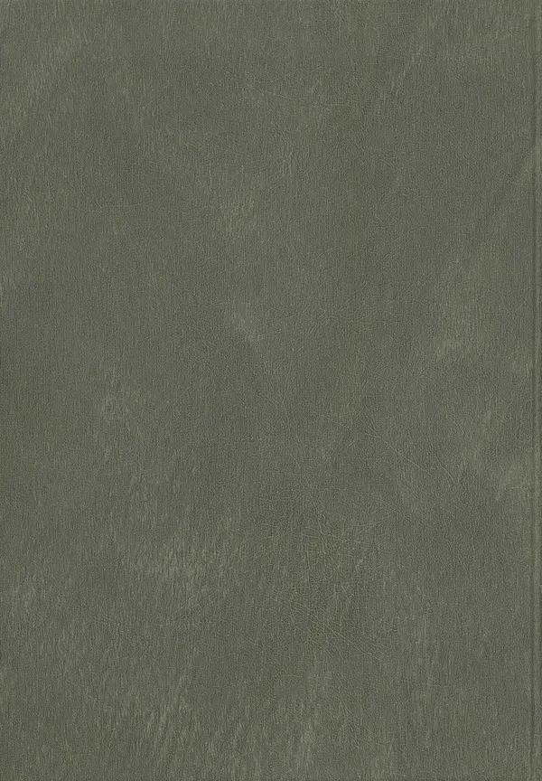 Максим Горький - ПСС. Письма в 24 т. Том 21 - Страница № 1020