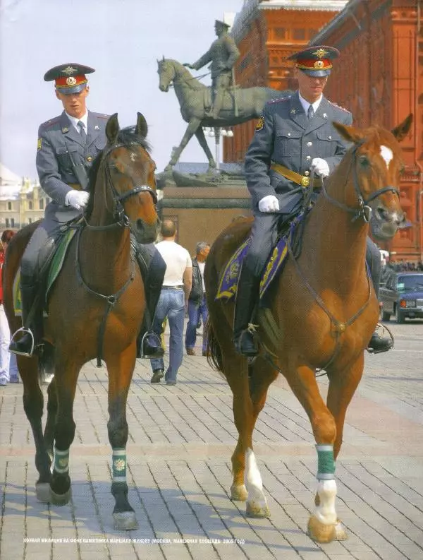  журнал Полицейские машины мира - "Волга" ГАЗ М-21. Милиция СССР - Страница № 13