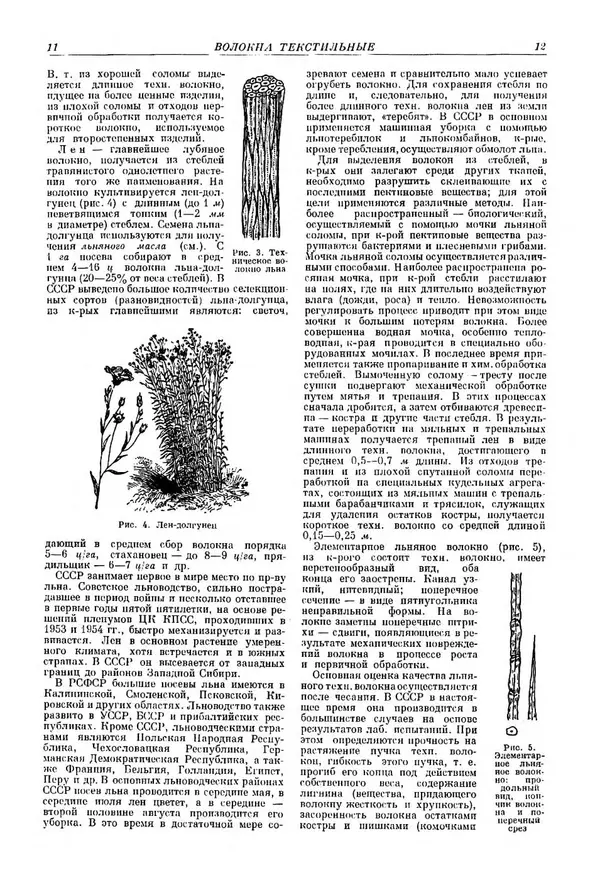 И. Пугачев - Товарный словарь. Том 2: Волокна текстильные-зюйдвестка  - Страница № 13