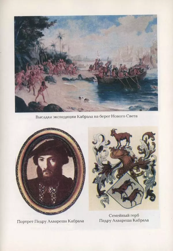 Наталья Константинова - Страна карнавала: Несколько эссе о бразильской культуре - Страница № 115