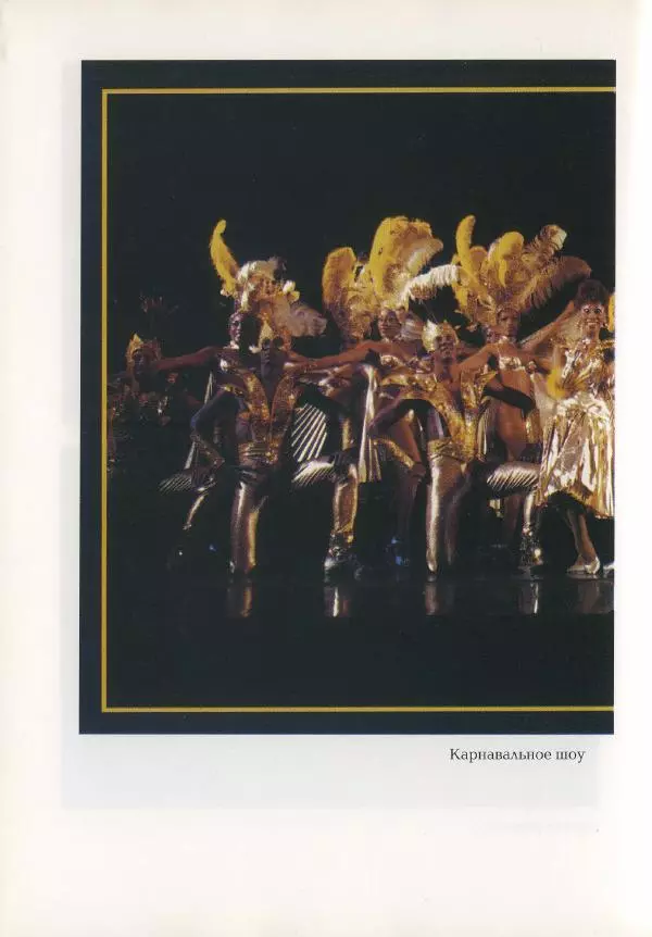 Наталья Константинова - Страна карнавала: Несколько эссе о бразильской культуре - Страница № 124