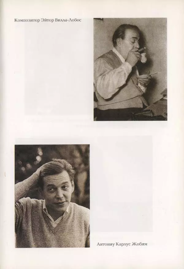 Наталья Константинова - Страна карнавала: Несколько эссе о бразильской культуре - Страница № 147