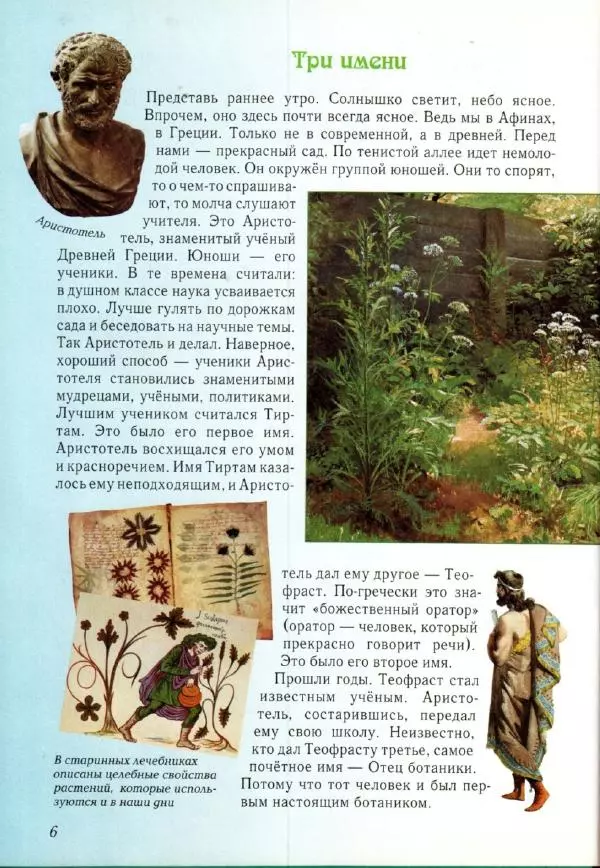 Светлана Лаврова - Занимательная ботаника для малышей - Страница № 9
