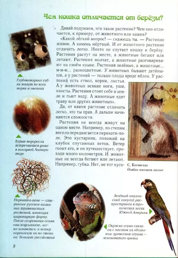 Светлана Лаврова - Занимательная ботаника для малышей - Страница № 11