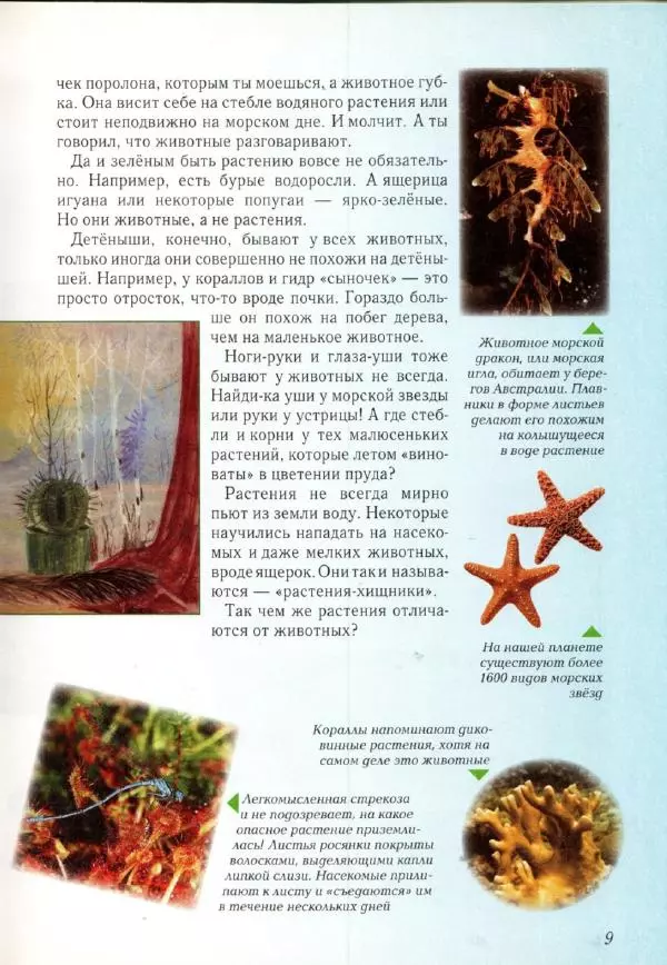 Светлана Лаврова - Занимательная ботаника для малышей - Страница № 12