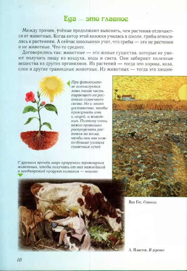 Светлана Лаврова - Занимательная ботаника для малышей - Страница № 13