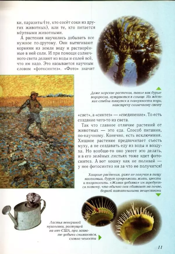 Светлана Лаврова - Занимательная ботаника для малышей - Страница № 14