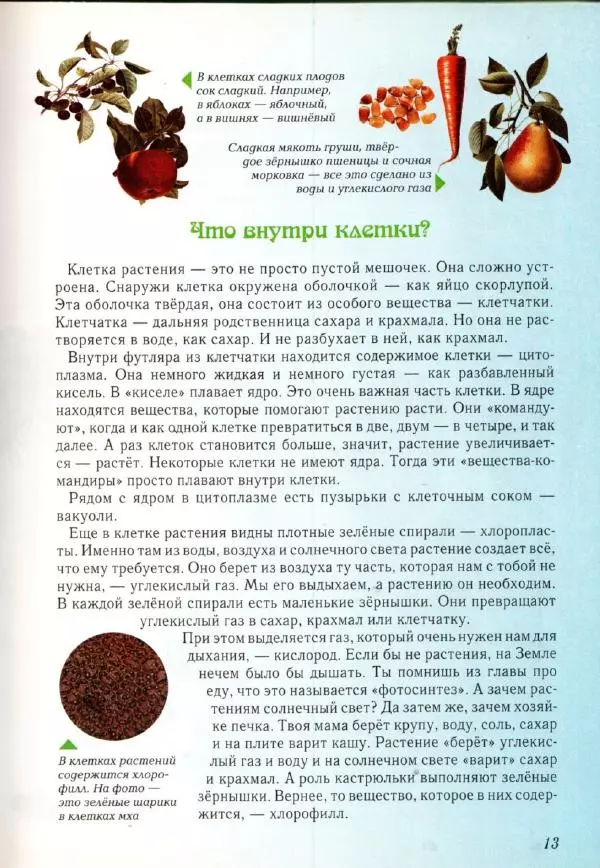 Светлана Лаврова - Занимательная ботаника для малышей - Страница № 16