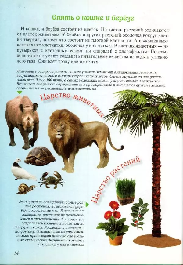 Светлана Лаврова - Занимательная ботаника для малышей - Страница № 17
