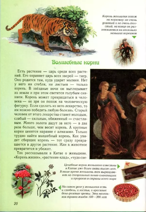 Светлана Лаврова - Занимательная ботаника для малышей - Страница № 23