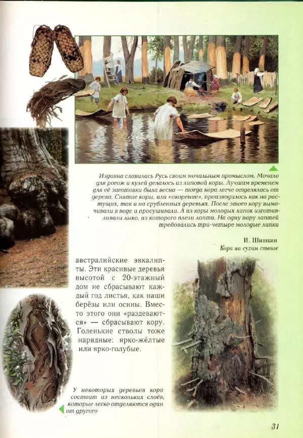 Светлана Лаврова - Занимательная ботаника для малышей - Страница № 34