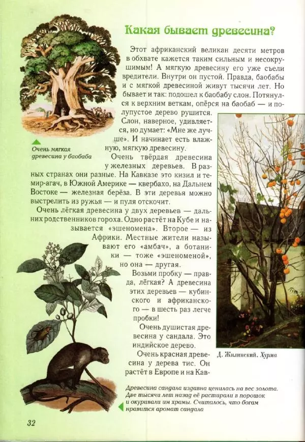 Светлана Лаврова - Занимательная ботаника для малышей - Страница № 35