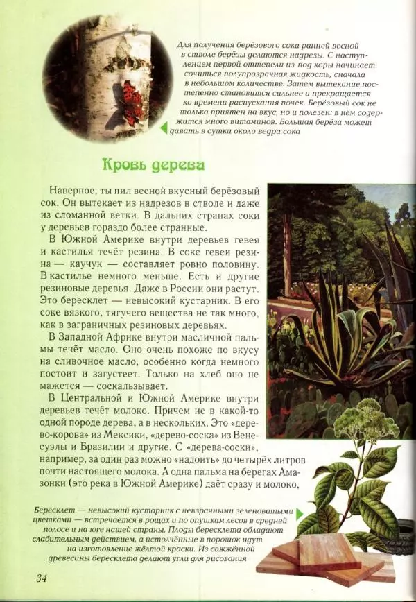 Светлана Лаврова - Занимательная ботаника для малышей - Страница № 37