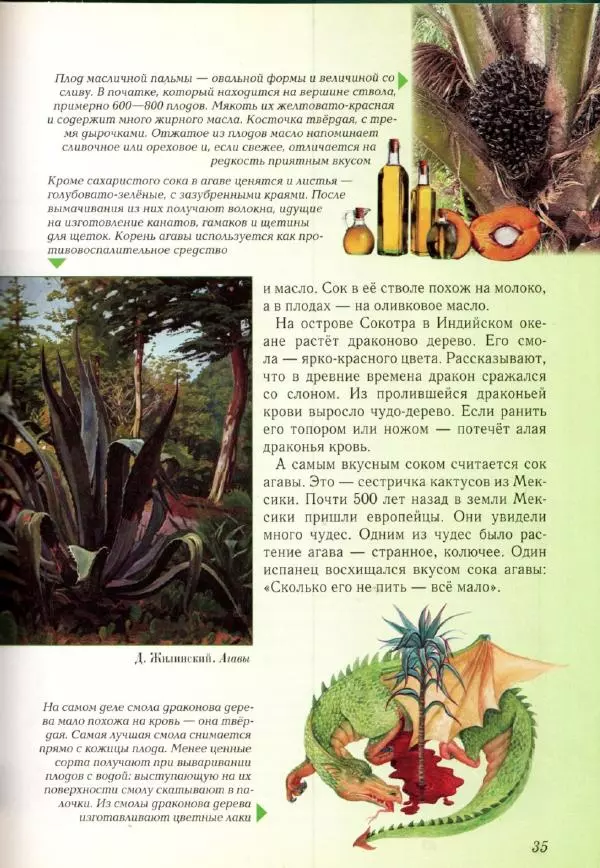 Светлана Лаврова - Занимательная ботаника для малышей - Страница № 38