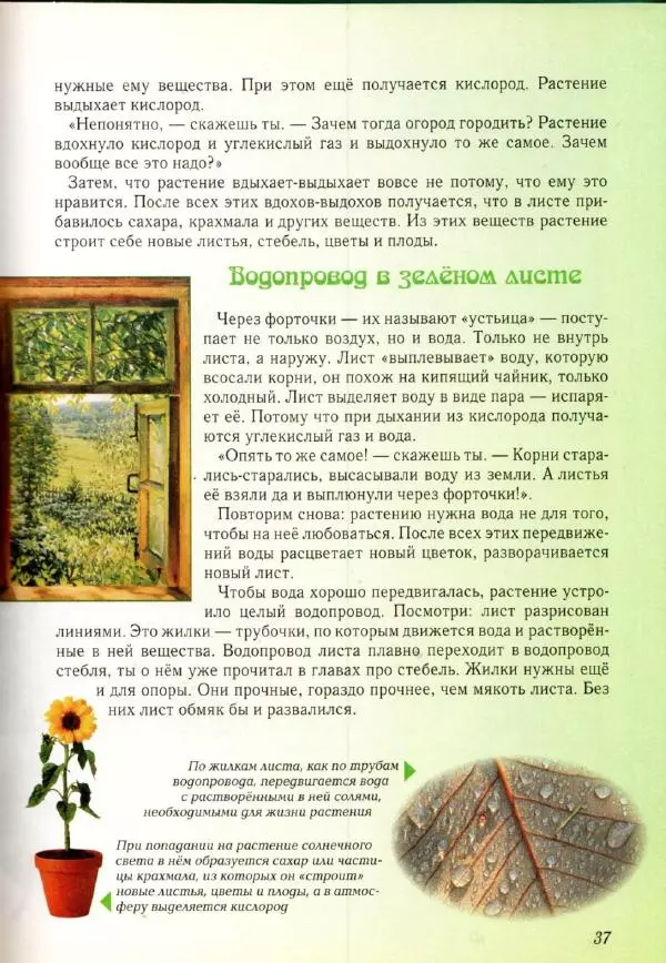 Светлана Лаврова - Занимательная ботаника для малышей - Страница № 40
