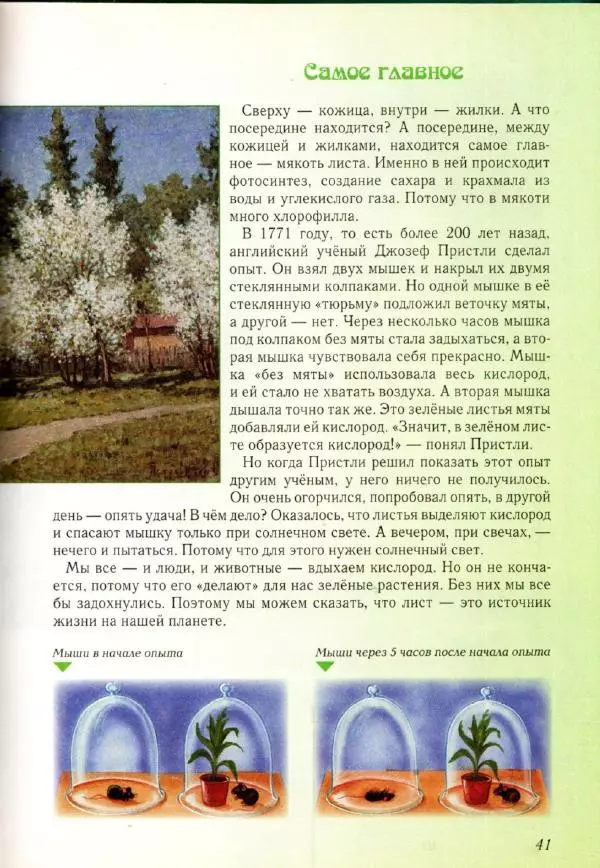 Светлана Лаврова - Занимательная ботаника для малышей - Страница № 44