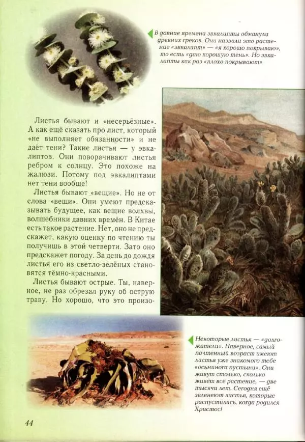 Светлана Лаврова - Занимательная ботаника для малышей - Страница № 47