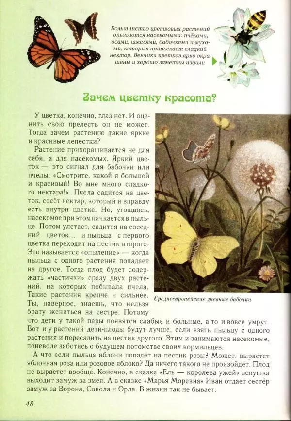 Светлана Лаврова - Занимательная ботаника для малышей - Страница № 51