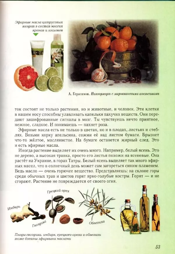 Светлана Лаврова - Занимательная ботаника для малышей - Страница № 56