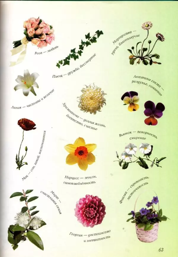 Светлана Лаврова - Занимательная ботаника для малышей - Страница № 66