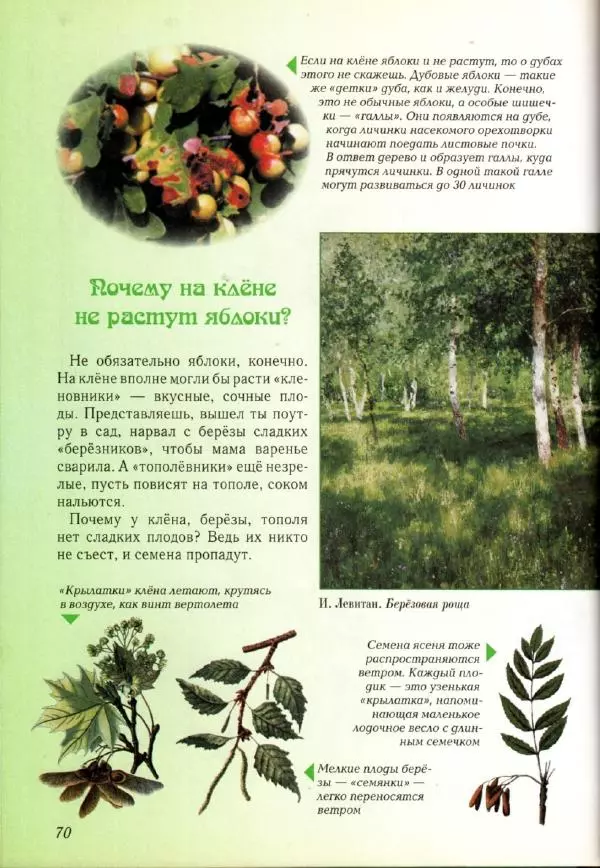 Светлана Лаврова - Занимательная ботаника для малышей - Страница № 73