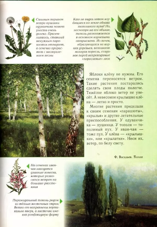 Светлана Лаврова - Занимательная ботаника для малышей - Страница № 74