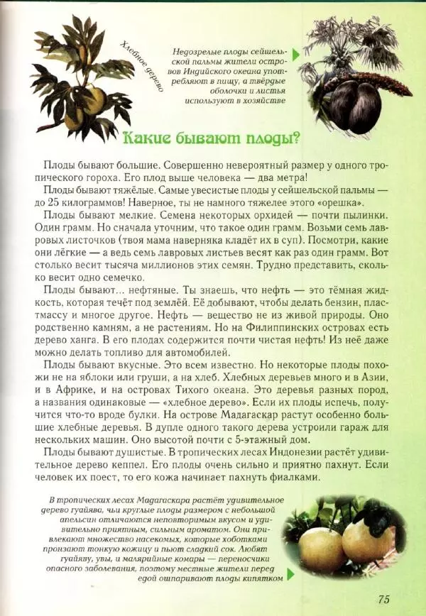 Светлана Лаврова - Занимательная ботаника для малышей - Страница № 78