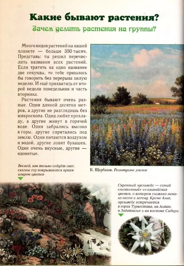 Светлана Лаврова - Занимательная ботаника для малышей - Страница № 79