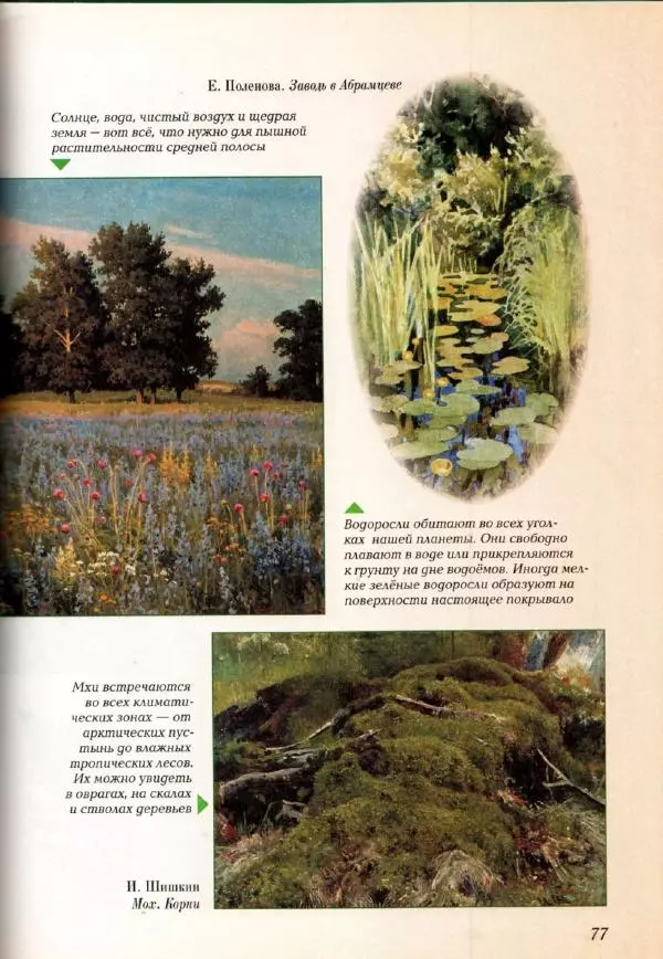 Светлана Лаврова - Занимательная ботаника для малышей - Страница № 80