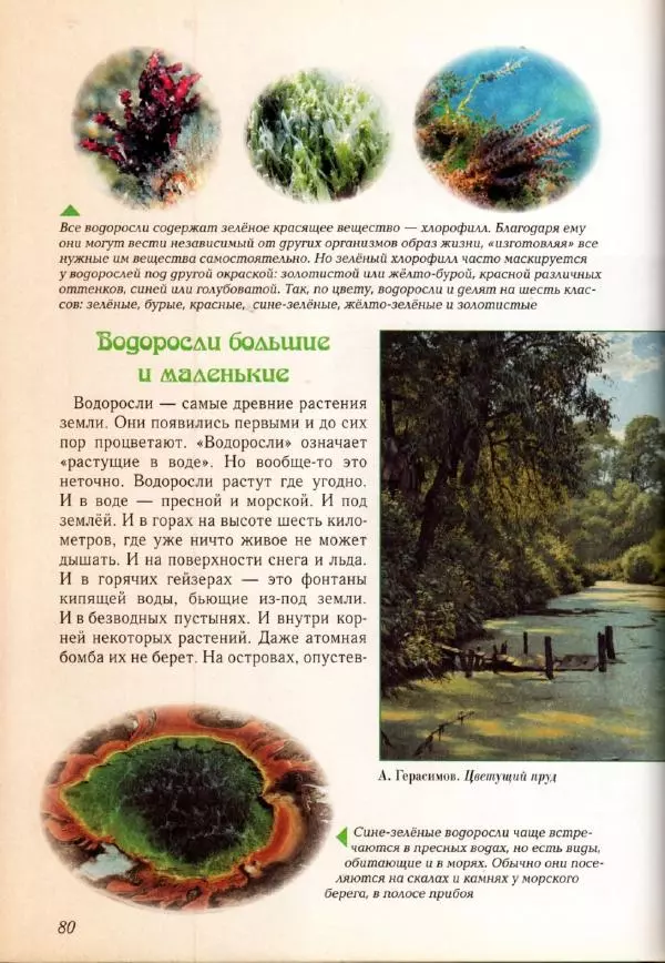 Светлана Лаврова - Занимательная ботаника для малышей - Страница № 83