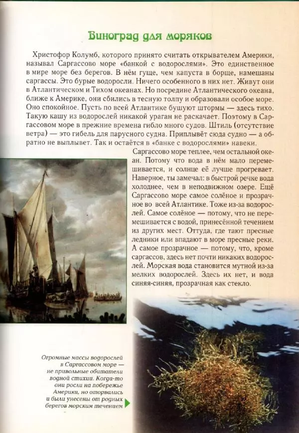 Светлана Лаврова - Занимательная ботаника для малышей - Страница № 86