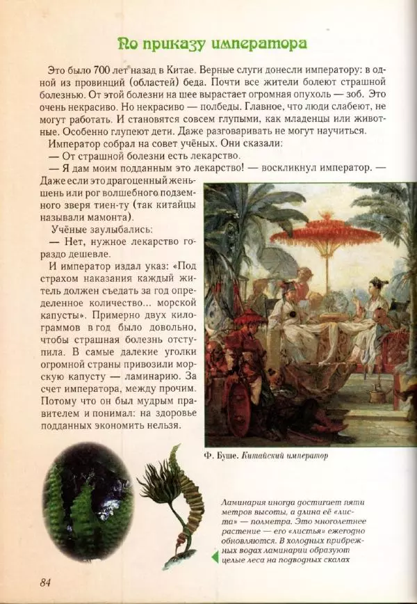 Светлана Лаврова - Занимательная ботаника для малышей - Страница № 87