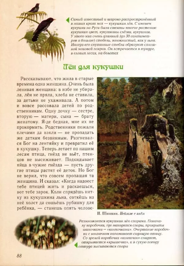 Светлана Лаврова - Занимательная ботаника для малышей - Страница № 91