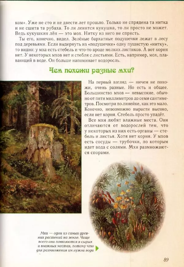 Светлана Лаврова - Занимательная ботаника для малышей - Страница № 92