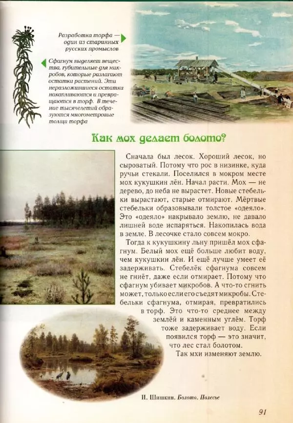 Светлана Лаврова - Занимательная ботаника для малышей - Страница № 94