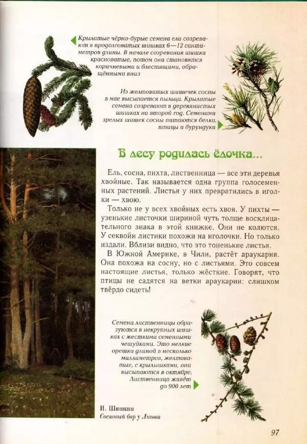 Светлана Лаврова - Занимательная ботаника для малышей - Страница № 100