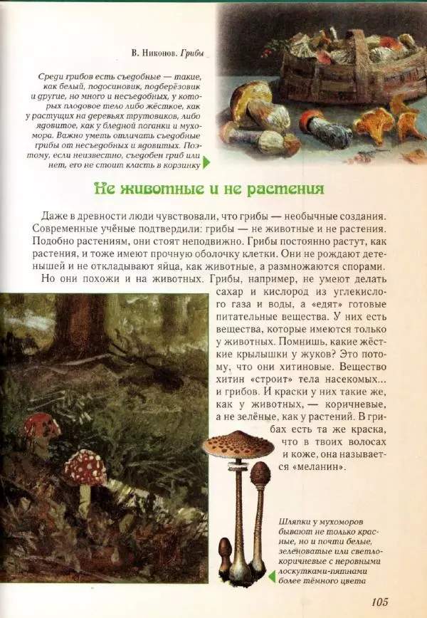 Светлана Лаврова - Занимательная ботаника для малышей - Страница № 108