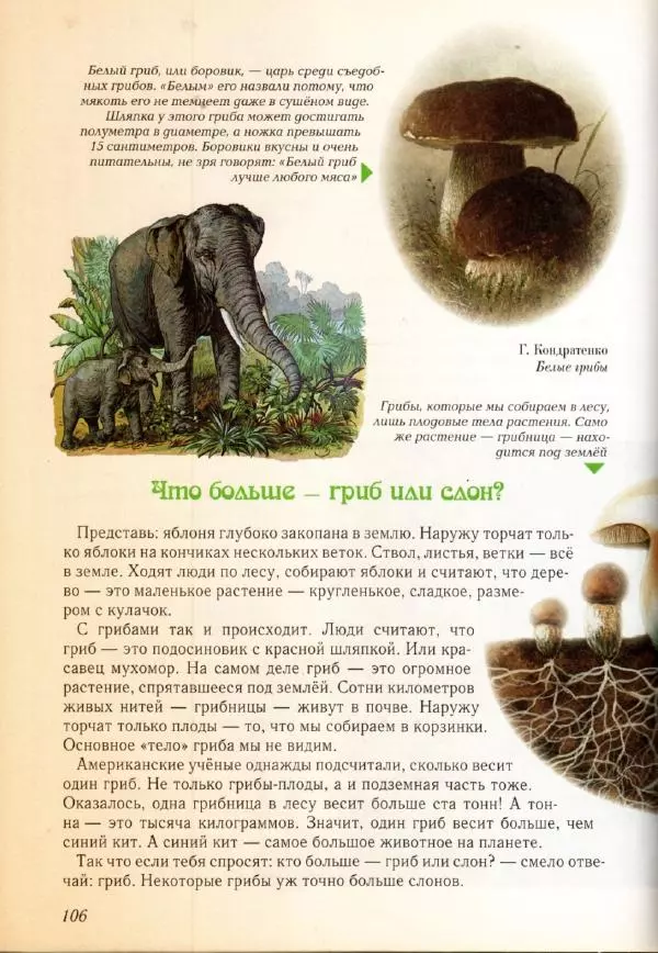 Светлана Лаврова - Занимательная ботаника для малышей - Страница № 109