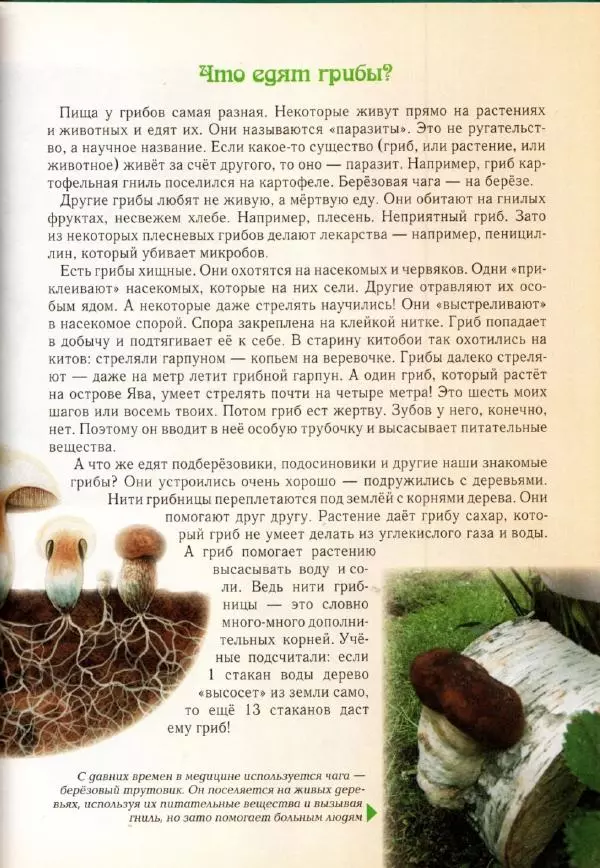 Светлана Лаврова - Занимательная ботаника для малышей - Страница № 110