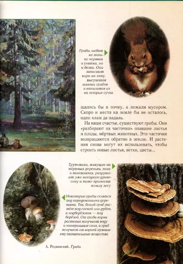 Светлана Лаврова - Занимательная ботаника для малышей - Страница № 112