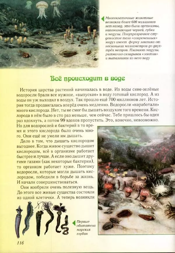 Светлана Лаврова - Занимательная ботаника для малышей - Страница № 119