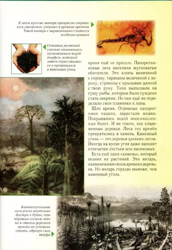 Светлана Лаврова - Занимательная ботаника для малышей - Страница № 122