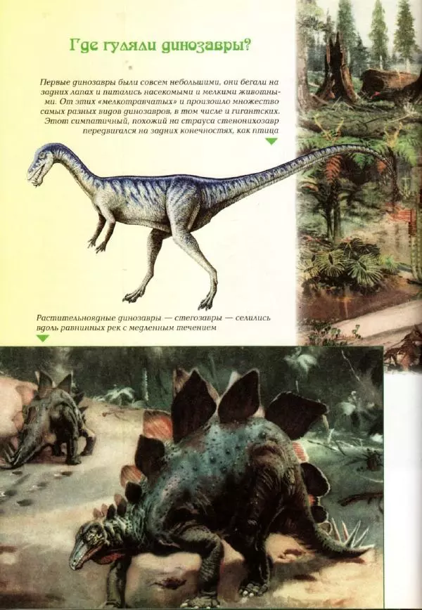 Светлана Лаврова - Занимательная ботаника для малышей - Страница № 123