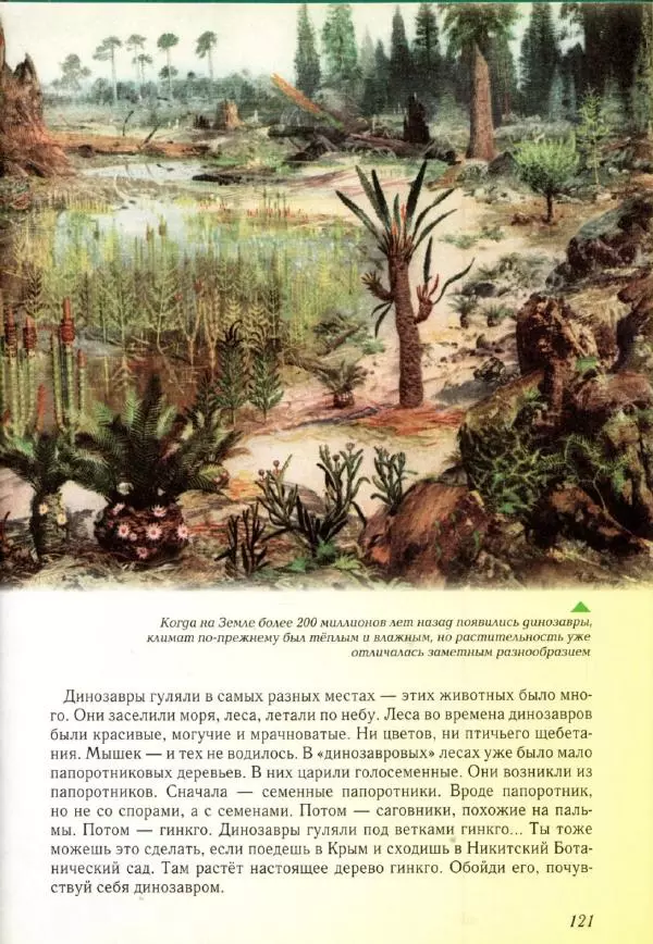 Светлана Лаврова - Занимательная ботаника для малышей - Страница № 124