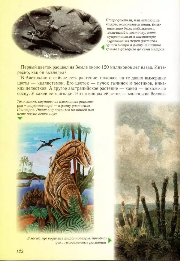 Светлана Лаврова - Занимательная ботаника для малышей - Страница № 125