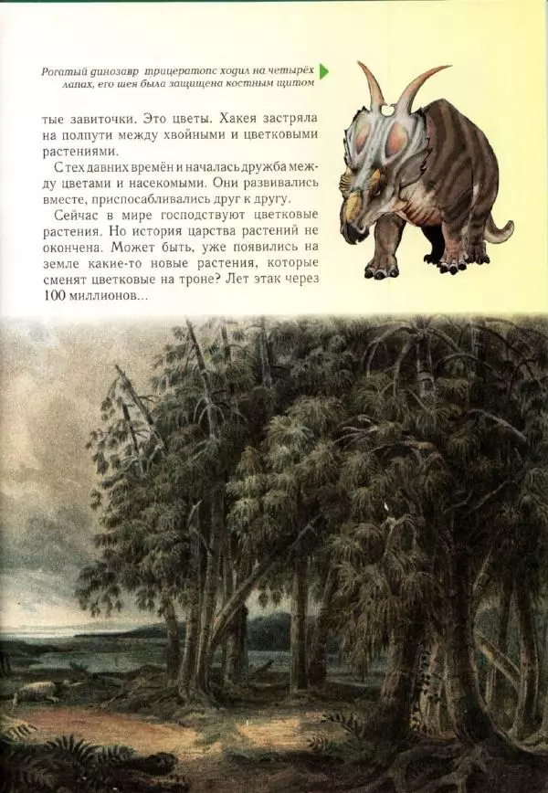 Светлана Лаврова - Занимательная ботаника для малышей - Страница № 126